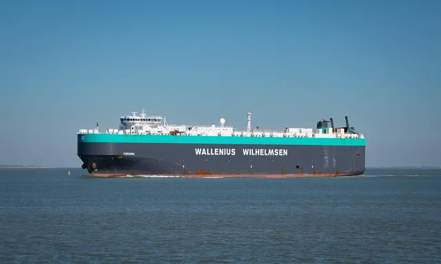 fragtskib, roll on roll off skib, skib, søgående fartøj, shipping industrien, roro skib, hav, natur, ocean. Hvordan håndterer du moms og told ved forsendelser til udlandet?
